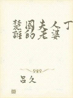 楚国夫人丁氏是谁的老婆