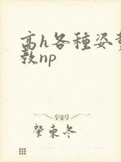 高h各种姿势调教np
