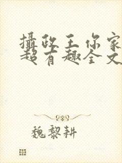 摄政王你家王妃超有趣全文阅读封面