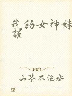 我的女神妹妹小说