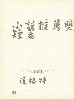 小说推荐双男主短篇封面