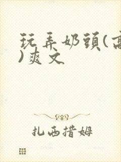 玩弄奶头(高h)爽文