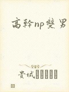 高干np双男主封面