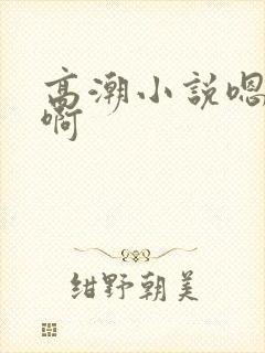 高潮小说嗯啊嗯啊