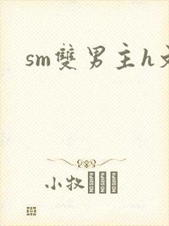 sm双男主h文