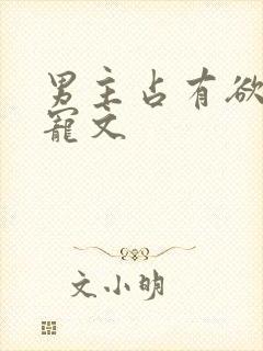 男主占有欲强的宠文