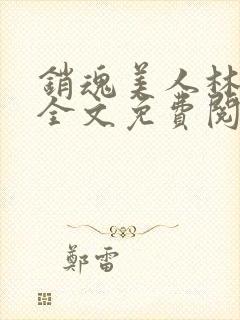 销魂美人林婷婉全文免费阅读小说