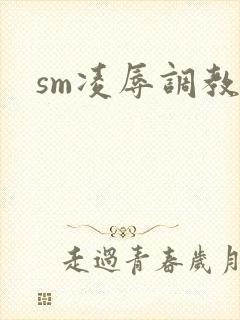 sm凌辱调教文封面