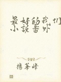 最好的我们原著小说番外
