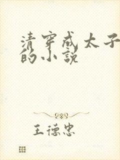 清穿成太子侧妃的小说