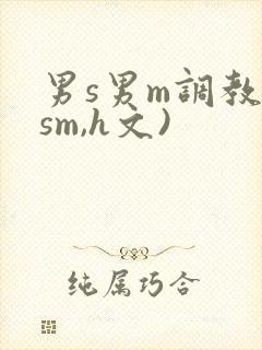 男s男m调教(sm,h文)