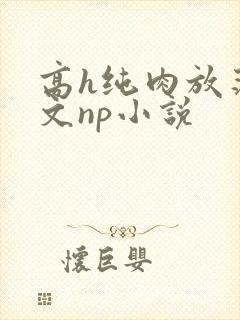 高h纯肉放荡h文np小说封面