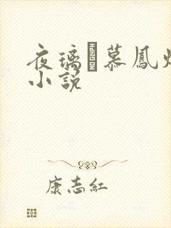 夜璃玦慕凤烟的小说封面