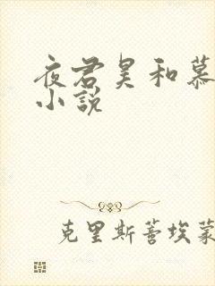 夜君昊和慕初晨小说