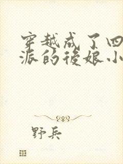 穿越成了四个反派的后娘小说