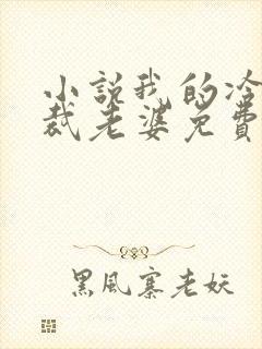 小说我的冷艳总裁老婆免费阅读封面