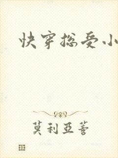 快穿总受小说封面