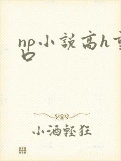 np小说高h重口封面