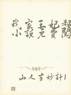 我家王妃超凶的小说免费阅读