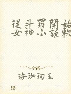 从斗罗开始俘获女神小说软件