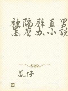 被隔壁直男看上怎么办小说