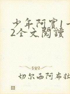少年阿宾1一72全文阅读