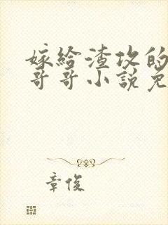 嫁给渣攻的反派哥哥小说免费