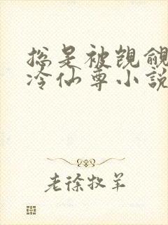 总是被觊觎的清冷仙尊小说