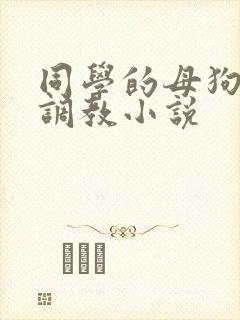 同学的母狗高h调教小说封面