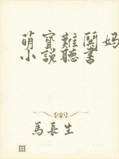 萌宝难哄妈难追小说听书