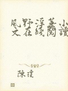 风野浮华小说全文在线阅读封面