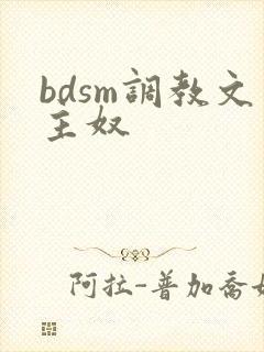 bdsm调教文主奴封面