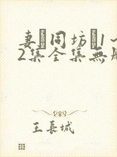 妻を同坊�1～2集全集无删减