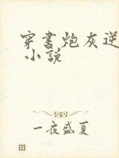 穿书炮灰逆袭记 小说