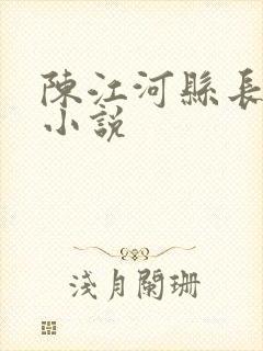 陈江河县长官场小说