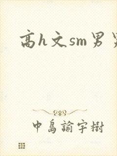 高h文sm男男