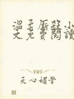 温柔厮杀小说全文免费阅读封面