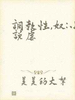 调教性,奴:小说虐