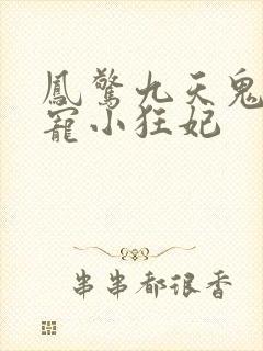 凤惊九天鬼帝溺宠小狂妃