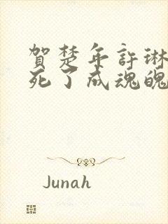 贺楚年许琳女主死了成魂魄小说