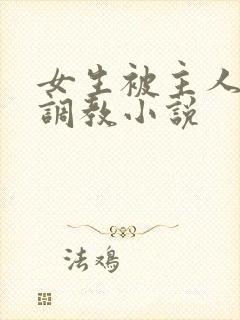 女生被主人sm调教小说封面