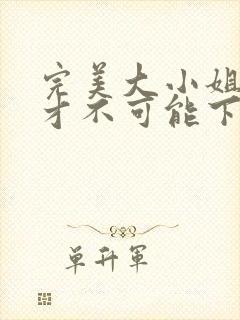 完美大小姐的我才不可能下跪堕落成受虐狂