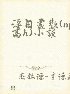 淫日尽欢(np高h)小说