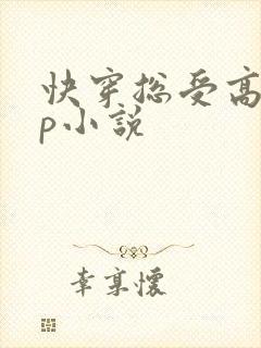 快穿总受高hnp小说