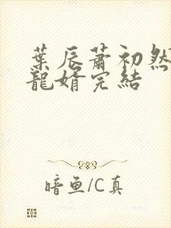 叶辰萧初然上门龙婿完结封面