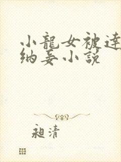 小龙女被达尔巴纳妾小说封面