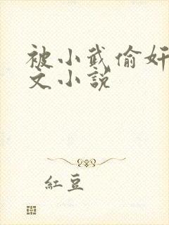 被小武偷奸了h文小说