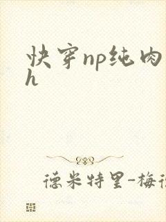 快穿np纯肉高h