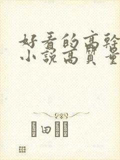 好看的高干言情小说高质量文笔好封面