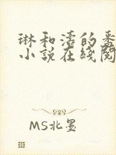 琳和涛的番外篇小说在线阅读